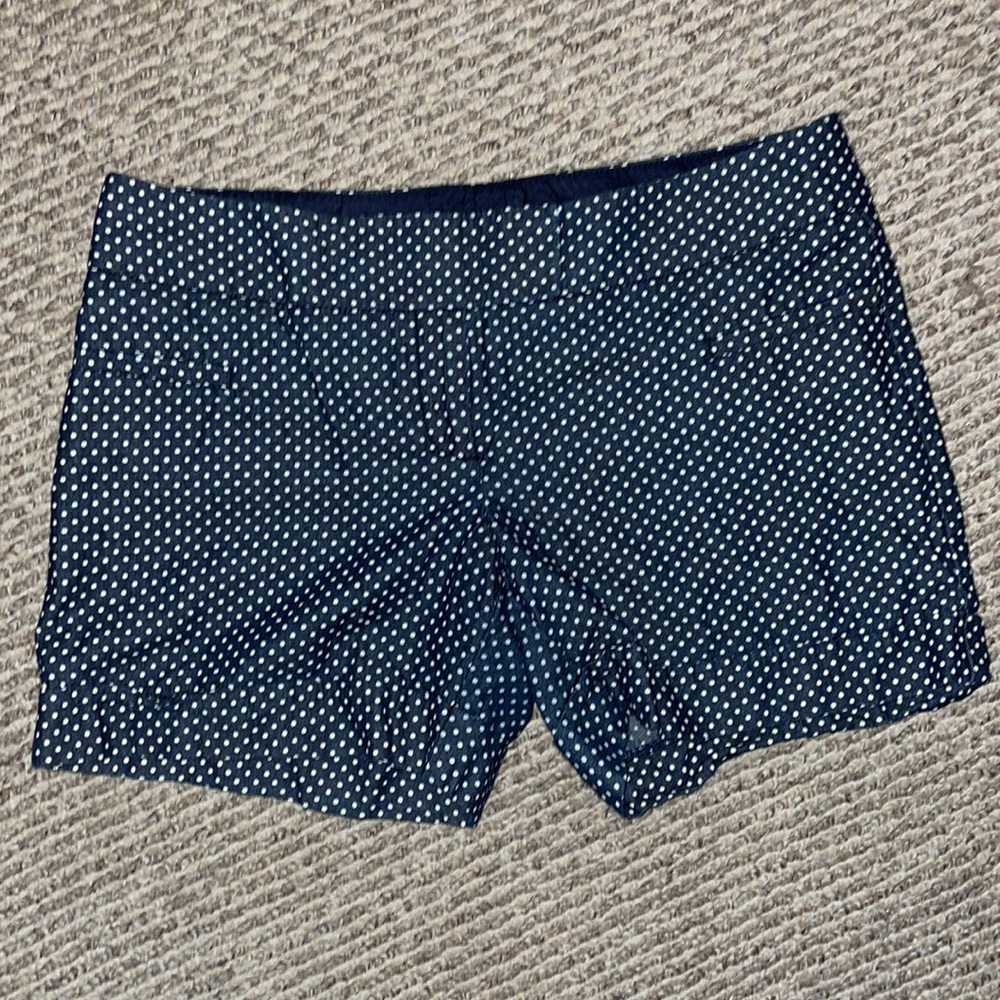 The Limited Blue and White Polka Dot Shorts